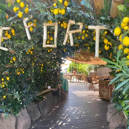 Vue Exceptionnelle A 500m De La De Santa Giulia *